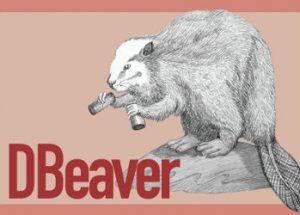 DBeaver 3.8.0 Free Download