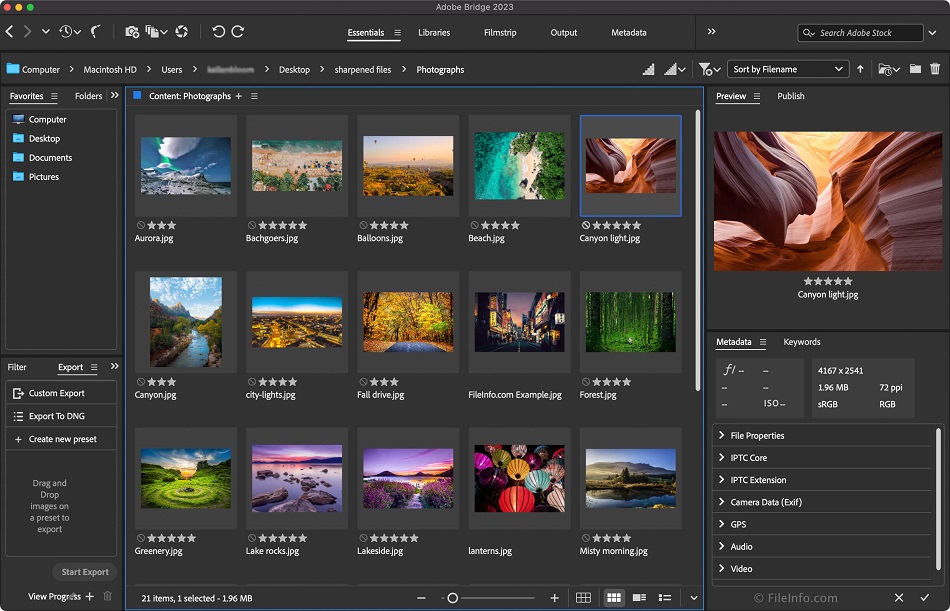 Adobe bridge 2024 free download for windows 10